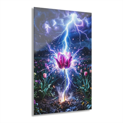 Acrylic Prints (French Cleat Hanging)