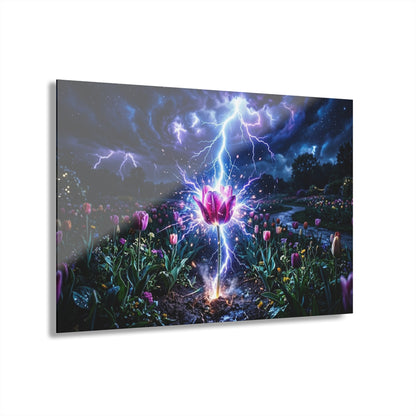 Acrylic Prints (French Cleat Hanging)