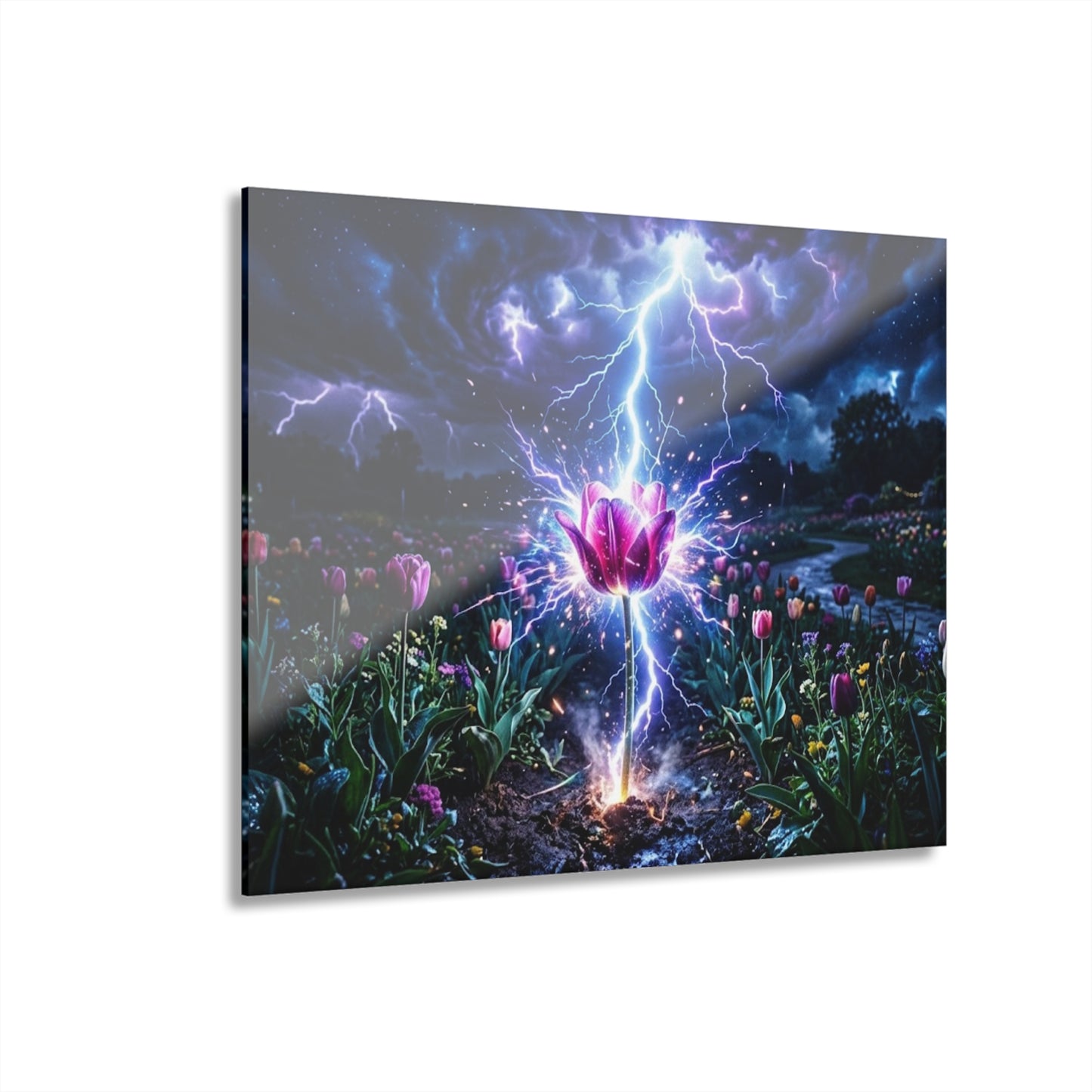 Acrylic Prints (French Cleat Hanging)