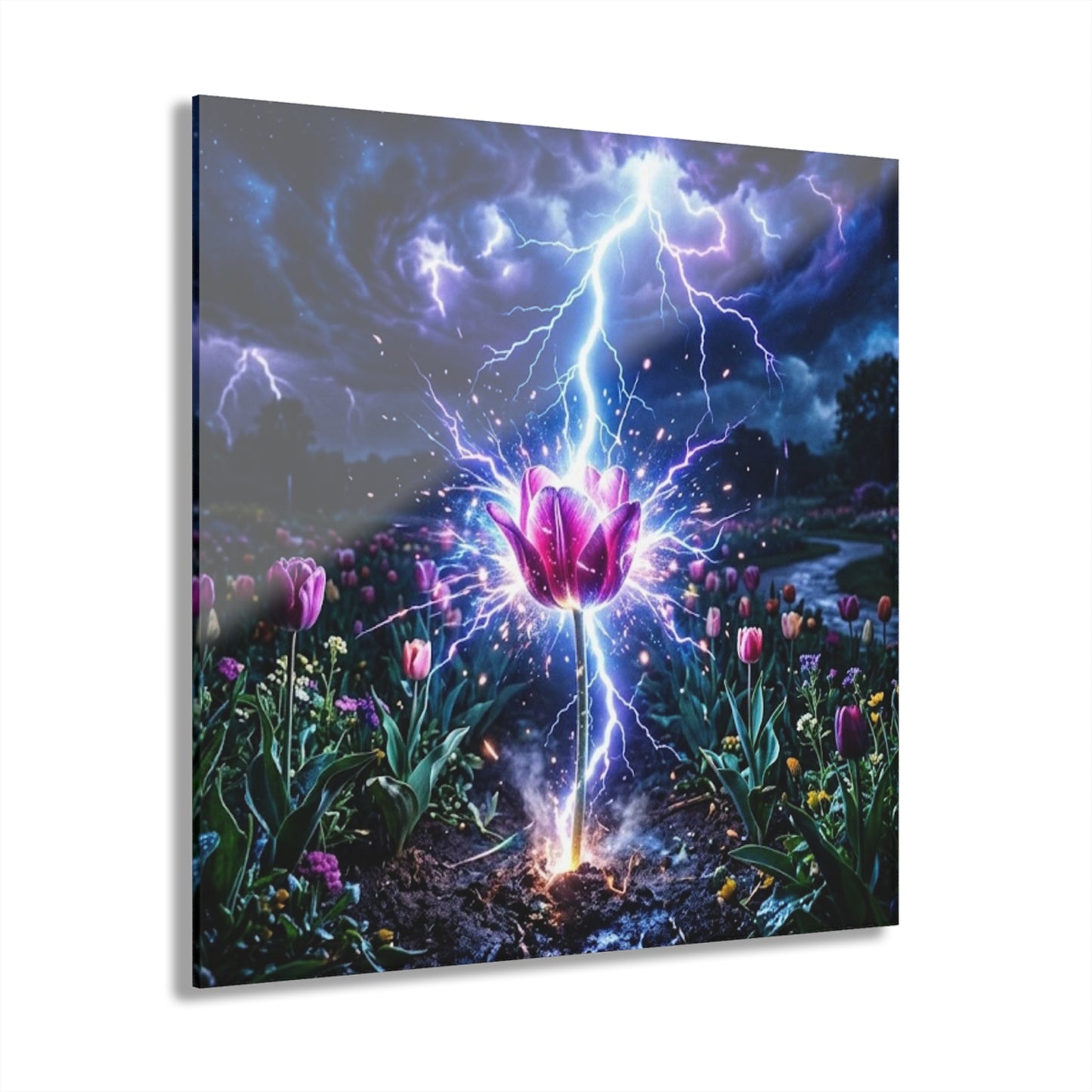 Acrylic Prints (French Cleat Hanging)