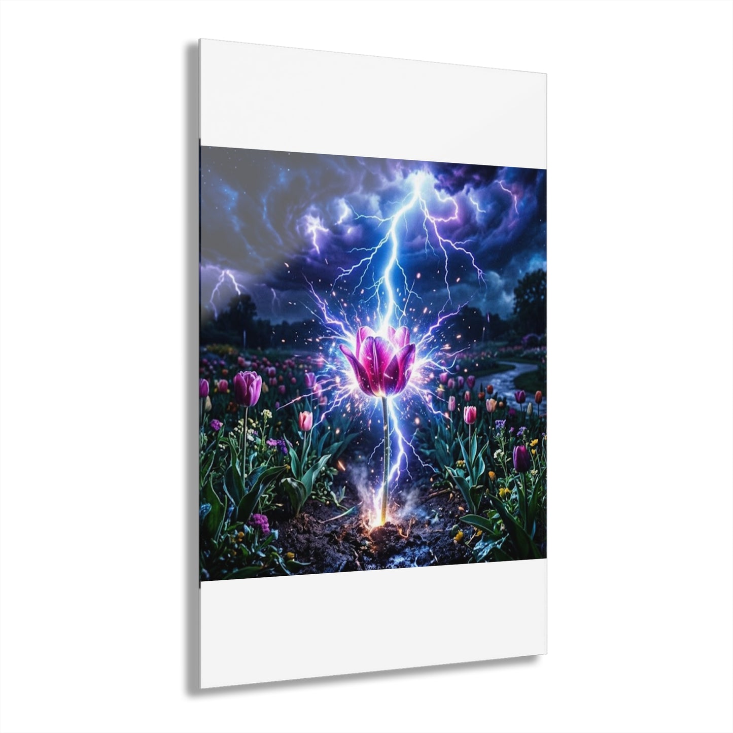 Acrylic Prints (French Cleat Hanging)