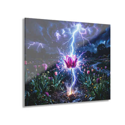 Acrylic Prints (French Cleat Hanging)