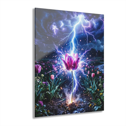 Acrylic Prints (French Cleat Hanging)