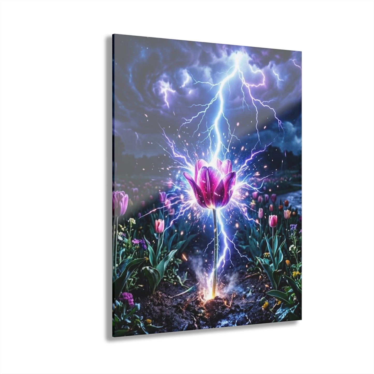 Acrylic Prints (French Cleat Hanging)
