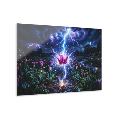 Acrylic Prints (French Cleat Hanging)
